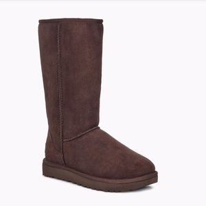 Classic Tall Chocolate Ugg Boots